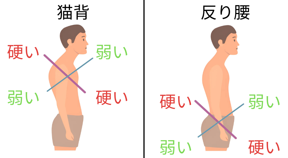 北浦和で肩こりの改善におすすめの整体-北浦和の肩こり専門整体院の肩こり改善におすすめ記事-14