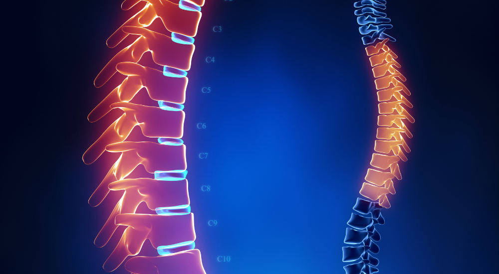 北浦和で肩こり改善におすすめの整体-北浦和肩こり専門整体院の肩こり‐肩甲骨内側のこり、痛みの整体について‐画像9