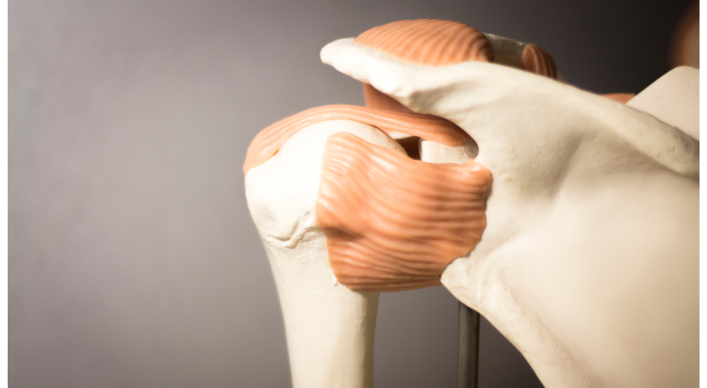 北浦和で肩こりの改善におすすめの整体-北浦和の肩こり専門整体院の肩こりと肩関節の痛み改善におすすめ記事-4