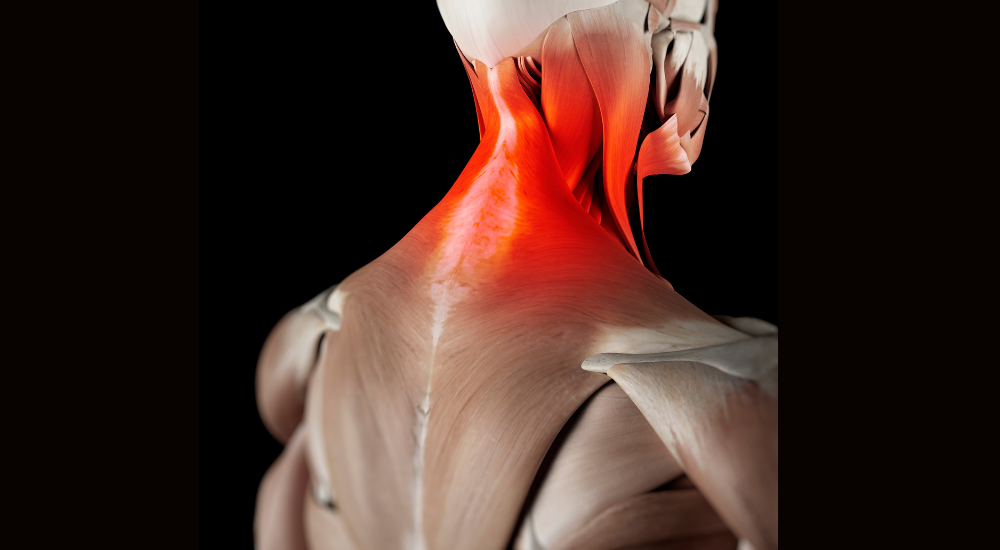 北浦和で肩こり・猫背の改善におすすめの整体院-北浦和猫背肩こり専門整体院-体のアンバランスについて‐画像4