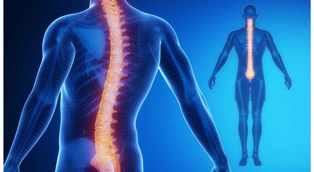 北浦和で肩こり改善におすすめの整体院-北浦和肩こり専門整体院の筋膜の癒着と動きの制限-画像15