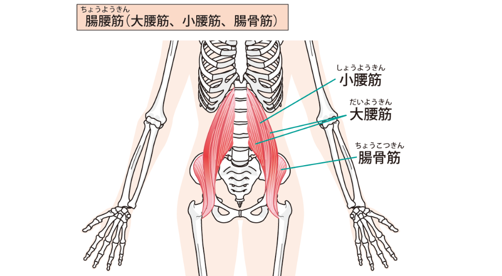 北浦和で肩こりの改善におすすめの整体-北浦和の肩こり専門整体院の肩こり改善におすすめ記事-26