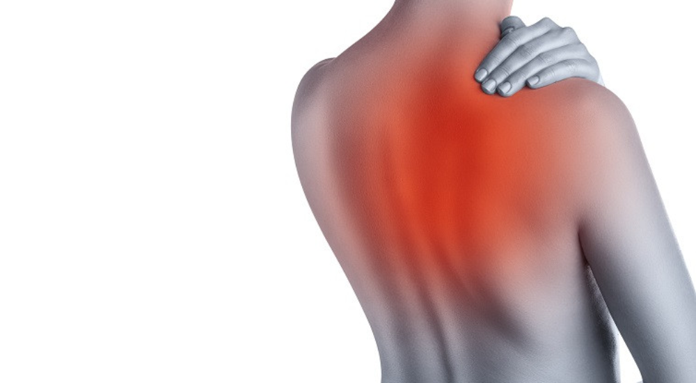 北浦和で肩こり改善におすすめの整体-北浦和肩こり専門整体院の肩こり‐肩甲骨内側のこり、痛みの整体について‐画像1